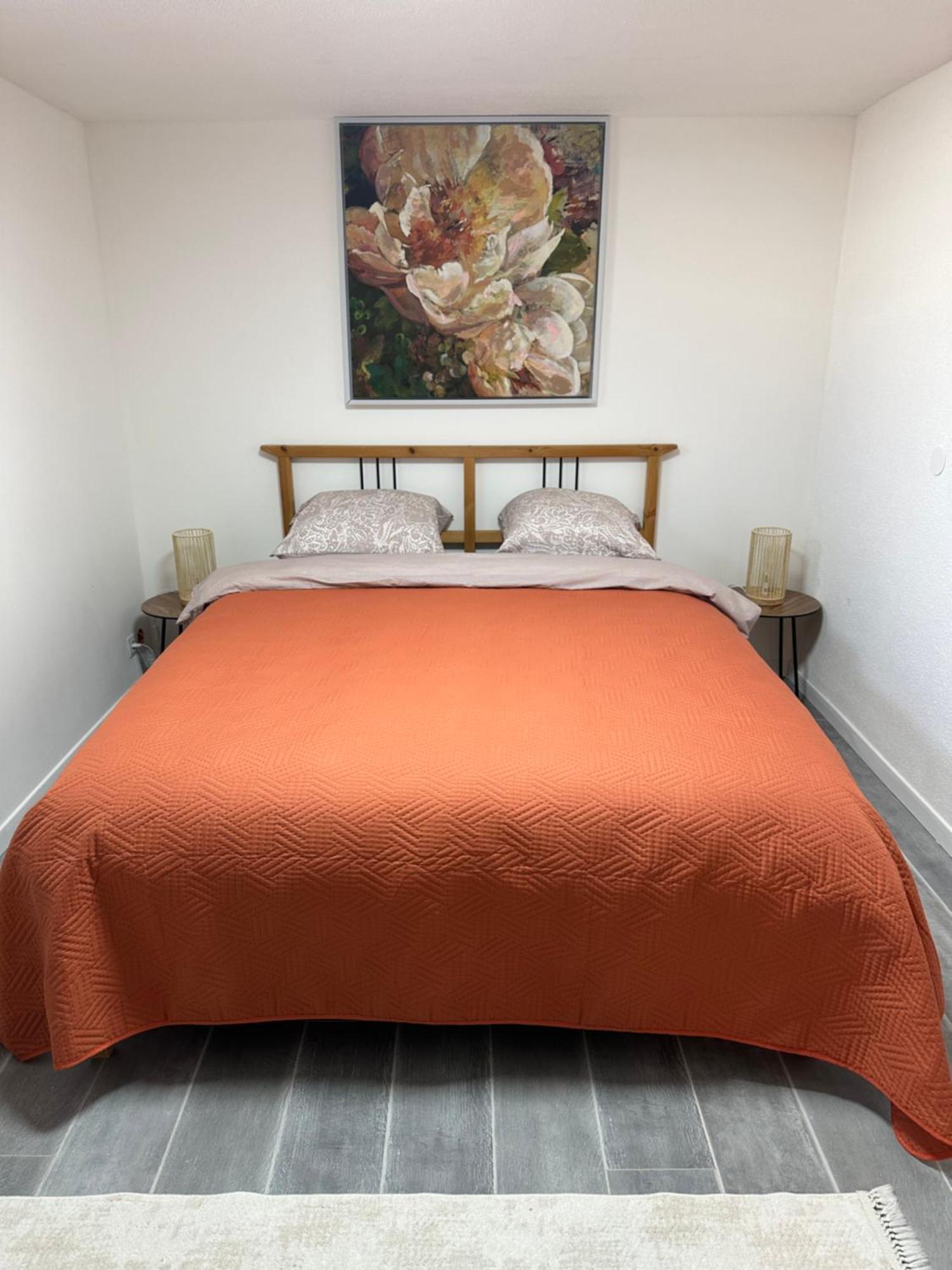 Les Mirabelles Apartment Енсисайм Екстериор снимка